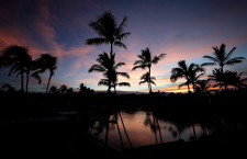 火山影響なく、いつもどおりの観光地　特集・「ビッグアイランド」ハワイ島を行く