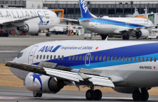 ANA、737-500に退役記念デカール12月から　機内限定スーパードルフィングッズも