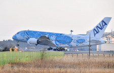 初の重整備迎えた空飛ぶウミガメ　特集・ANA A380就航2周年