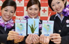 ANA客室乗務員とAKB48、スズランのしおり2万枚手作り　6月に病院訪問