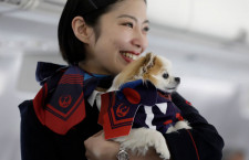 JAL、愛犬と機内も一緒「ワンワンJET」成田－鹿児島チャーター