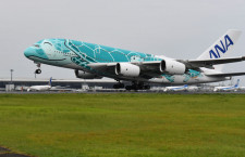 ANA”空飛ぶウミガメ”A380、遊覧飛行2回目は緑の2号機　倍率110倍