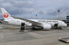 JALの787、不具合で伊丹発羽田行き欠航　202人影響、貨物室外側パネルか