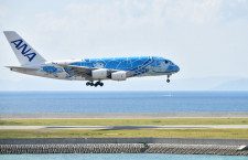 24日の成田空港、カメが滑走路侵入し離着陸中断　空飛ぶウミガメA380も影響