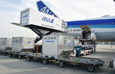 ANA、国際貨物の危険物申告書を電子化　アジア初、IATAシステム導入