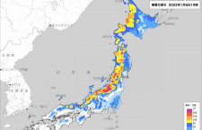 関東の大雪、羽田発着中心に欠航130便超　7日朝も影響