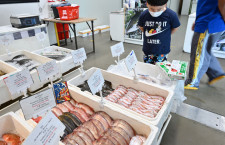 「東京より新鮮な魚が届きます」特集・JALが運ぶバンコク トンロー市場の生鮮品