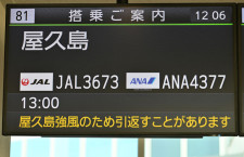 ANA/JAL共同離島事業、協議会設立　5社連携強化、九州コードシェア継続