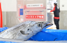 JAL、成田で生鮮貨物をワンストップ輸出　翌朝に海外市場着