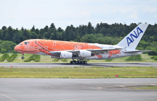 ANA、A380 3号機が6回目の整備フライト　成田発着で1時間弱