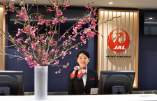 JAL、沖縄から日本一早い桜　30回目の一足早い「春」、羽田など23空港