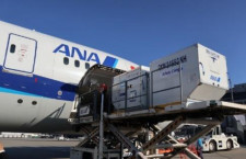 ANA、沖縄へも冷凍弁当空輸　大阪から保冷コンテナ、輸送時間短縮