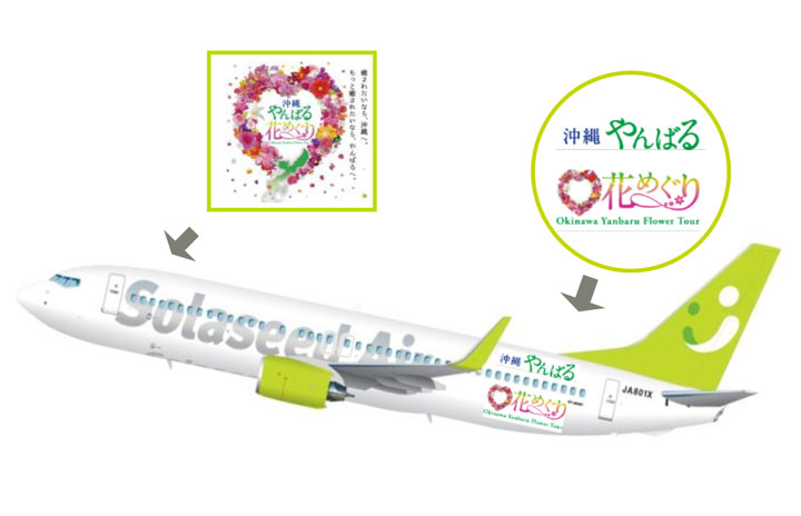 ソラシド、沖縄PRする特別塗装機「やんばる花めぐり号」 31日就航