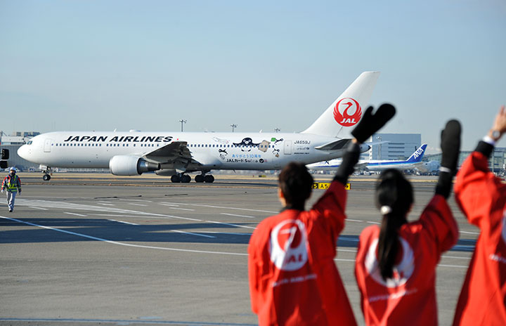レア！ JAL 東京モノレール 記念 Suica ペンギン｜その他