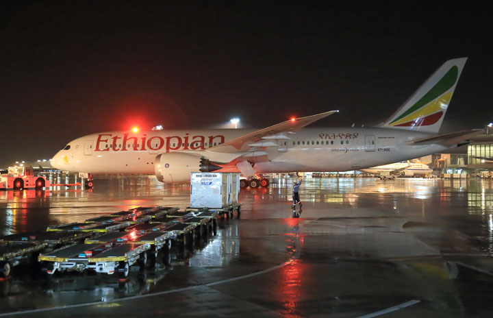 エチオピア航空の成田便、2-3月はすべて直行便 thumbnail