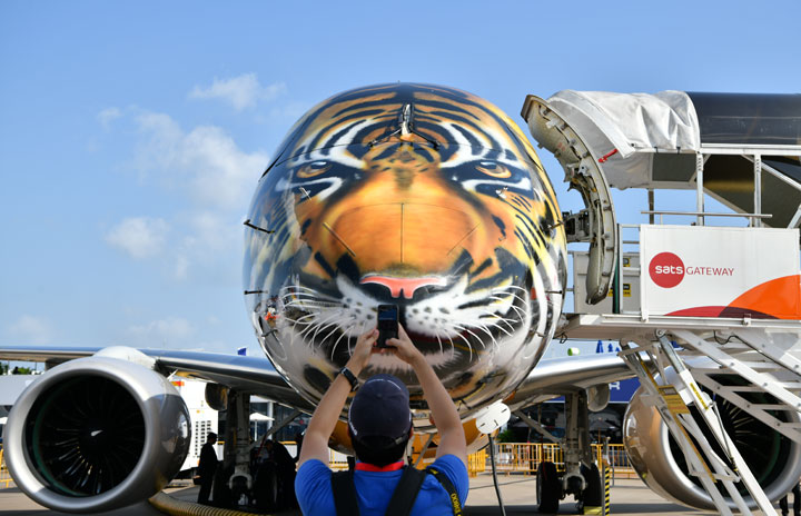 180206_0196_E190E2_emb_sin18-