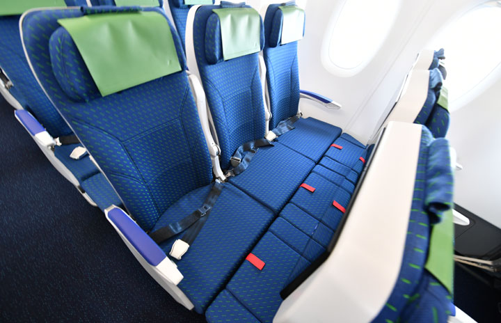 ハワイ　コアウッド　ホヌ　中サイズ ALOHA MANA（アロハマナ） 【数量限定】ハワイアンジュエリー