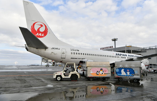 4年連続で就航率99 写真特集 雪に強い旭川空港支えるグラハン