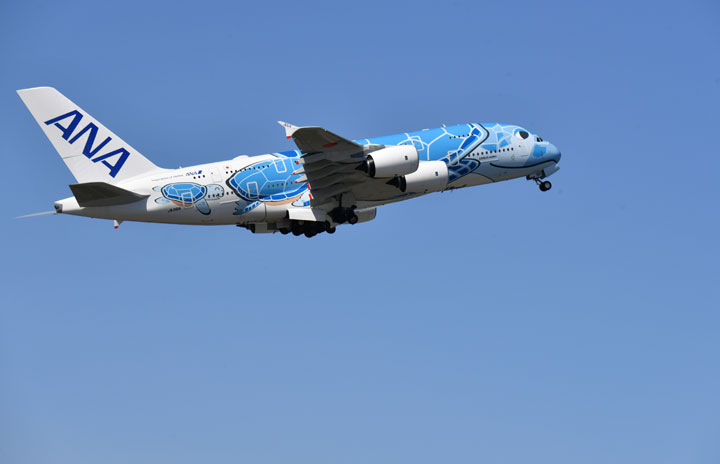 ANA、A380夏休みチャーター8月に7回　子供向け機内食も