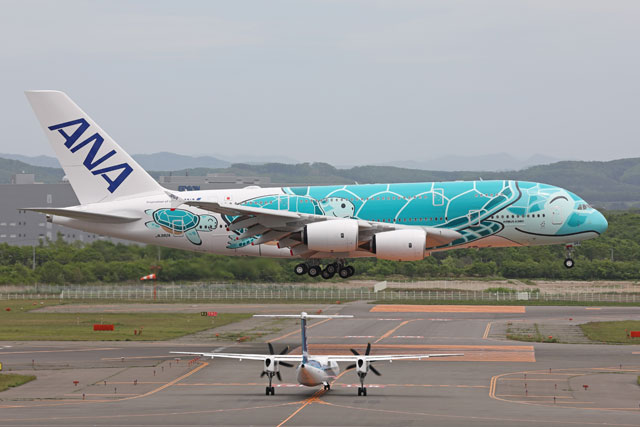 エメラルドグリーンのウミガメ、新千歳に初飛来 ANAのA380慣熟飛行