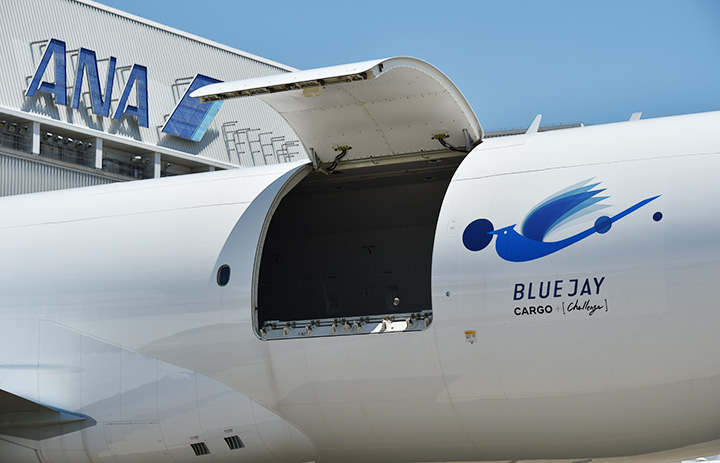 ANA Cargo B777F 貨物機 BLUE JAY 1/400 01_l.jpg