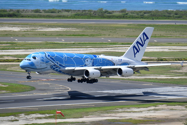 ANA機内販売限定 フライングホヌ A380 HONU ぬいぐるみ ホノルル