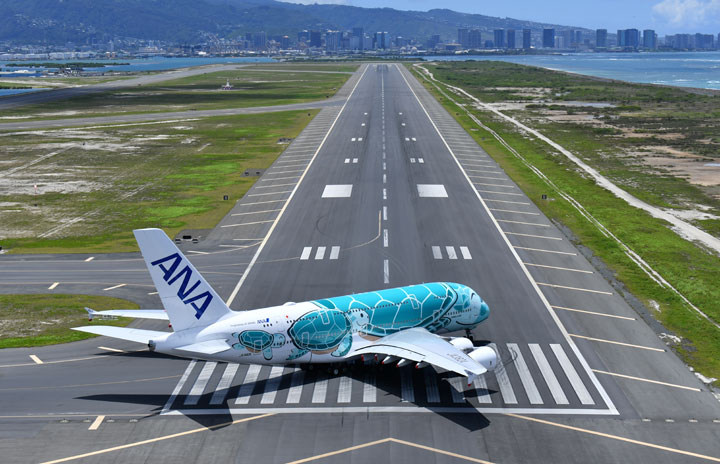 ANA、国際線タイムセール5/17まで　ハワイ12.5万円から