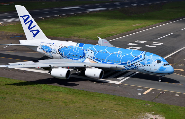 ANA、A380で沖縄・奄美上空飛ぶチャーター　世界自然遺産記念