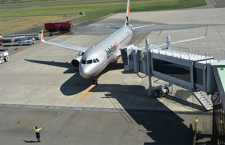 庄内空港ビル創立30周年 まめうさジェット エアバスA321 neo 1/150庄内