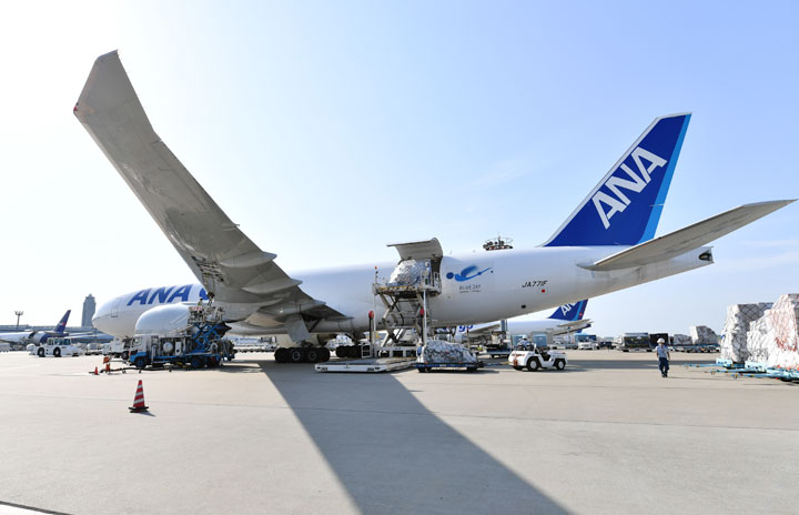 ANA、成田に貨物便集約　アジア－欧米間の取込強化、収益向上へ