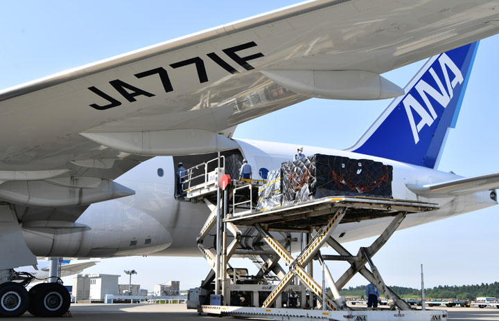 ANA、成田－フランクフルト貨物臨時便 777F大型貨物機で