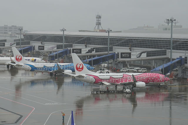 雨のセントレアにジンベエ2機並ぶ Jalとjta中部 那覇復便 1日3往復に