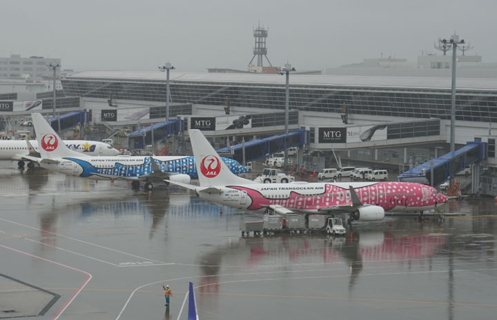 雨のセントレアにジンベエ2機並ぶ Jalとjta中部 那覇復便 1日3往復に 雨のセントレアにジンベエ2機並ぶ Jalとjta中部 那覇復便 1日3往復に