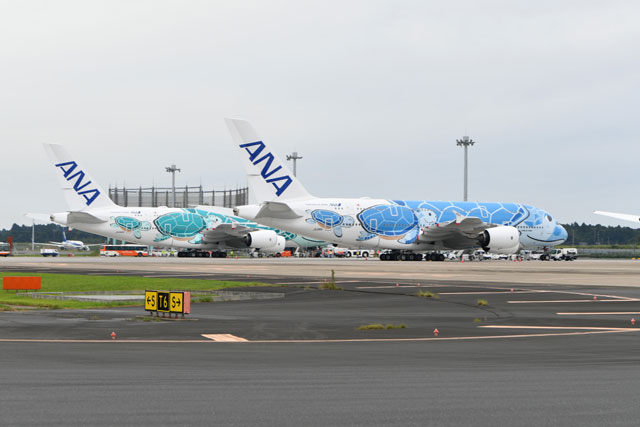 Ana 空飛ぶウミガメ A380 遊覧飛行2回目は緑の2号機 倍率110倍