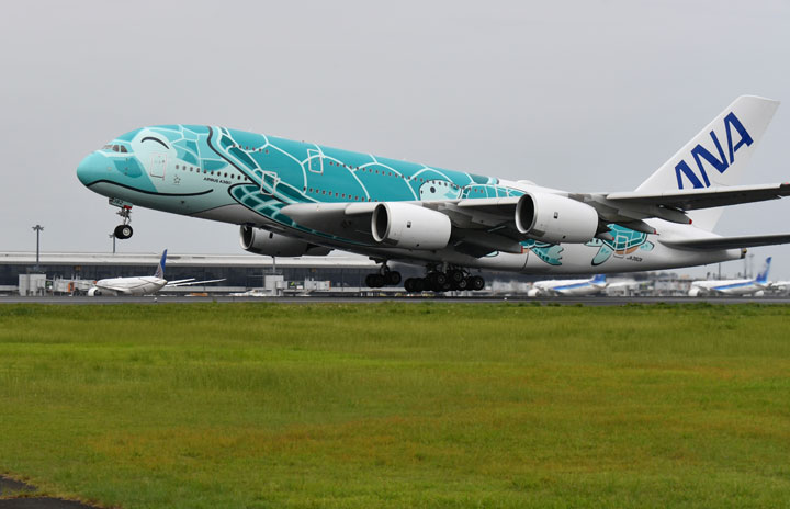 Ana 空飛ぶウミガメ A380 遊覧飛行2回目は緑の2号機 倍率110倍