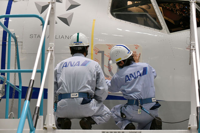 ANAウイングス、737に創立10周年デカール貼付 Q400含め10機対象