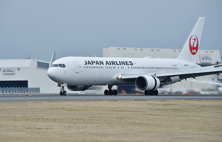 JAL、成田発着でシンガポール体験チャーター　政観らと12月共催、空港内巡るオプショナルも