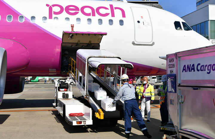 ピーチ、ANAの貨物扱い開始　初便は福岡から那覇へ