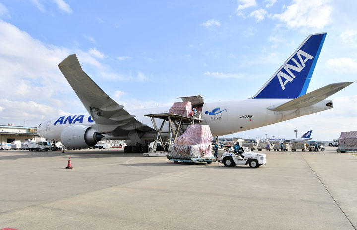 ANA、成田－バンコク線に大型貨物機777F投入　自動車部品好調、東南アジアから北米へ
