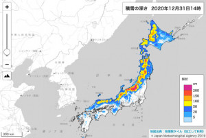 JALとANA、大雪で157便欠航 5000人超影響 - Aviation Wire
