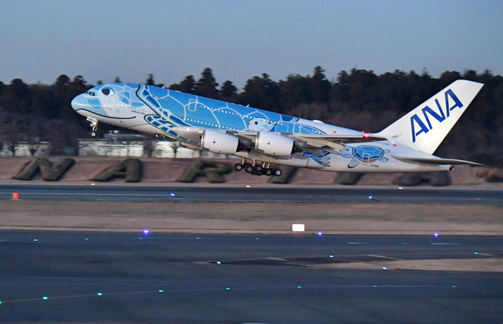 ANA、A380で初日の出フライト　成田発着
