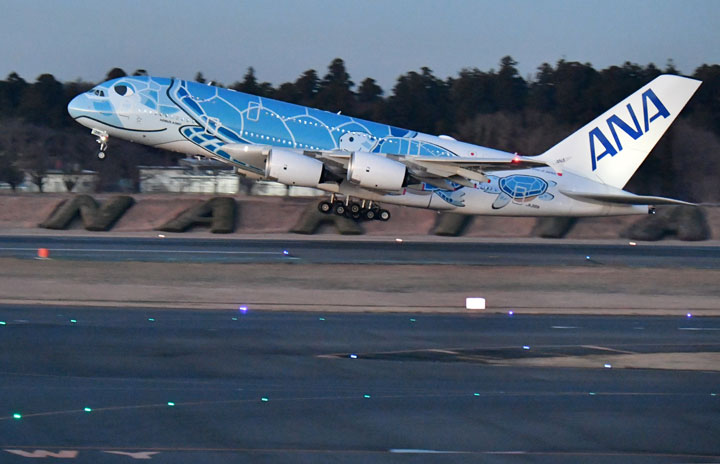 ANA、A380で初の成田－新千歳・那覇チャーター 新千歳遊覧も