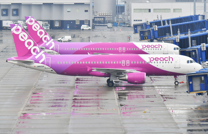 Peach, domestic 72-hour sale All 34 routes, to stimulate demand after declaration thumbnail