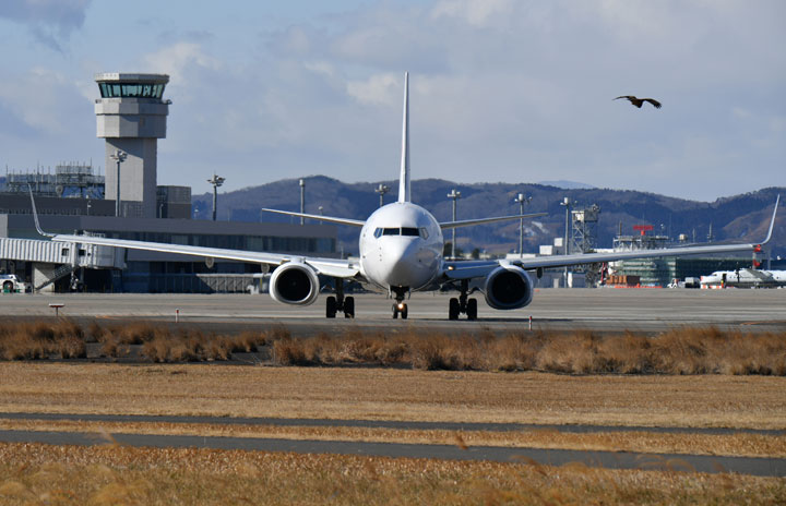 JALとANA、仙台空港でチャーター便　震災復興ツアー