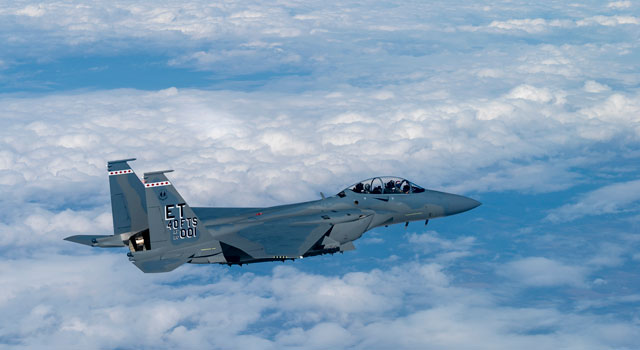 cloud様専用 ホビーマスター F-15EX イーグル HA4562 初号機+secpp.com.br