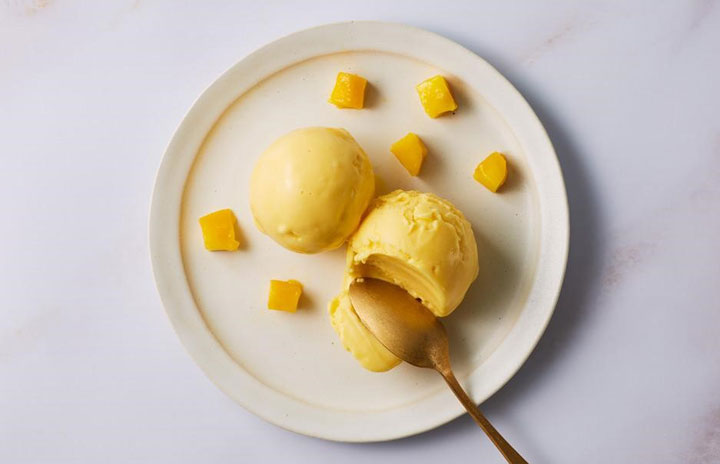 JAL通販サイト、宮崎県産マンゴーのアイスクリーム