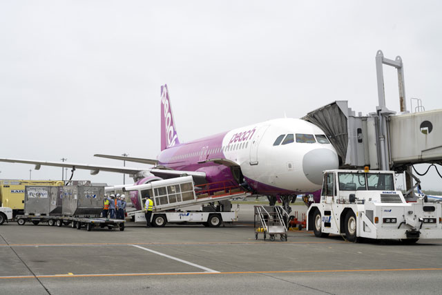 ピーチ 新千歳空港で貨物扱い開始 初便は夕張メロンなど沖縄へ