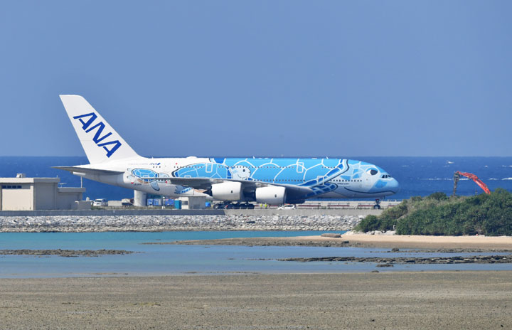 Flying sea turtles to Okinawa Photo special feature ・ ANA A380 Naha's first flight thumbnail