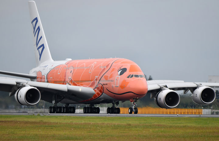 ANA、オレンジ3号機が4回目の整備フライト 111日ぶり