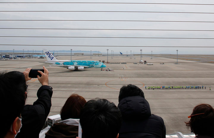 ANAのA380、中部で1年ぶり遊覧飛行 グリーン2号機、展望デッキに多くの人